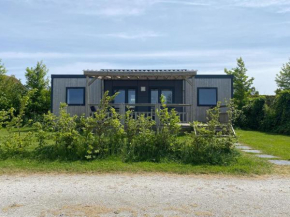 Modern chalet in the Frisian countryside